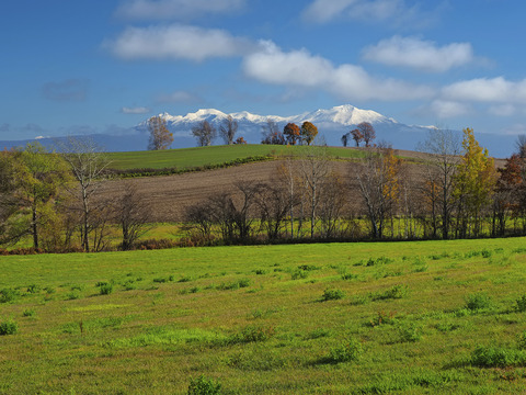 PA311267@