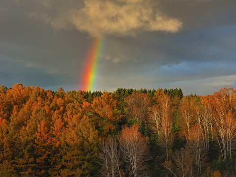 PA301135@