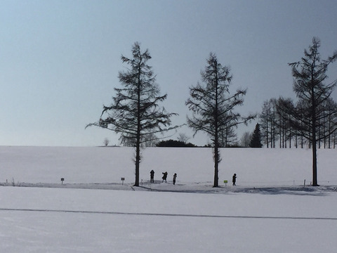 立入禁止のロープを越えて畑に侵入する4人組の韓国人