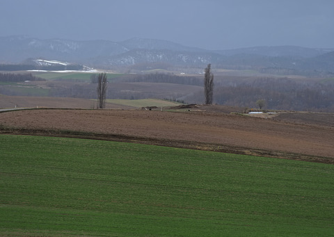 P4120538@