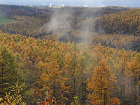 PA301038@