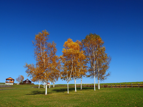 20121021_05-2