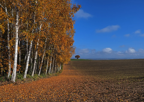PA301876@