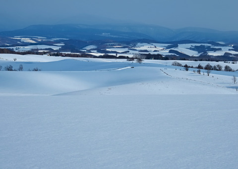 P1231900@