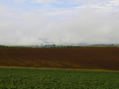 P9125021