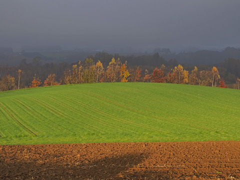 PA311238@