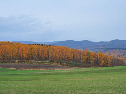 PA291061@
