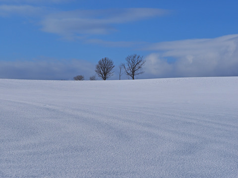 P1200016@
