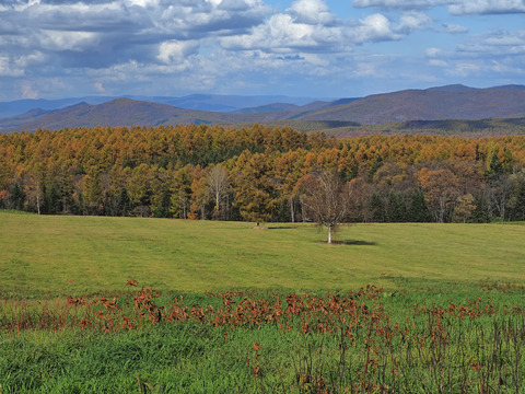 PA290946@