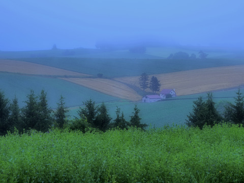 P7240383@