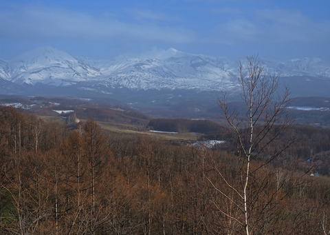 P4120579@