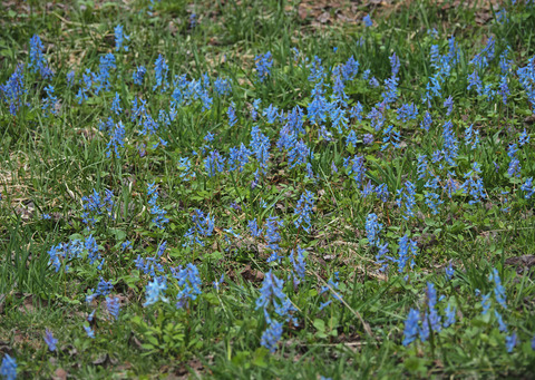 P4140870@