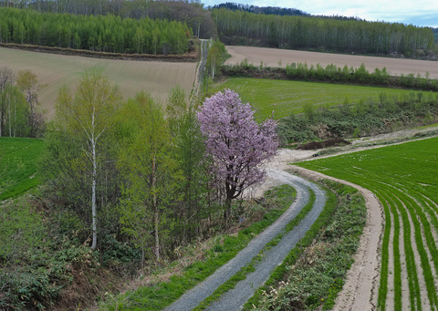 P5050571@