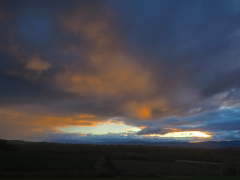 PA301194@