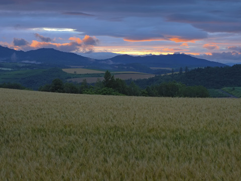 P7240492@