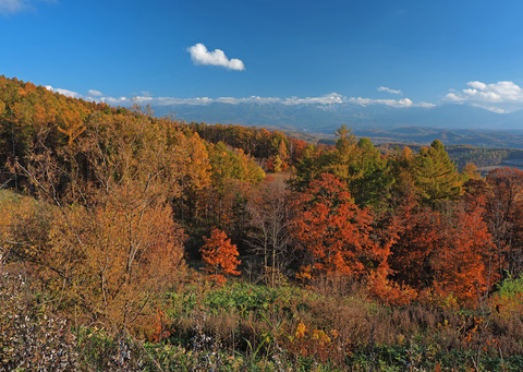 PA301938@