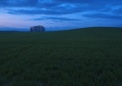 P5050387@
