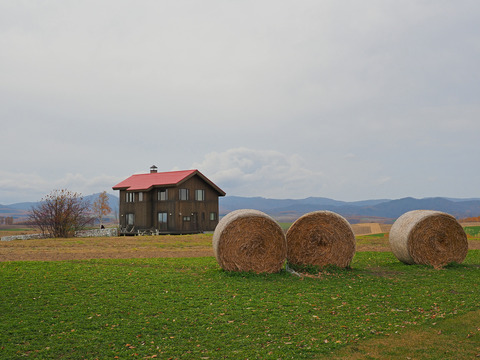 PA291147@