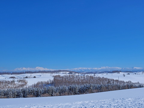 P2081057