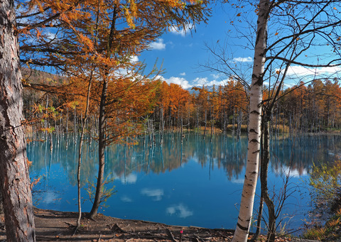 PA301922@