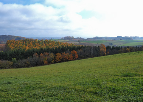 PA301867@
