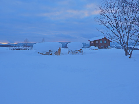P1250072@
