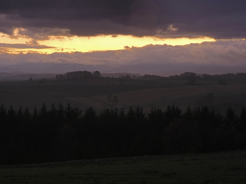 PA290811@