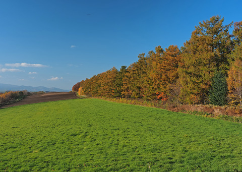 PA301934@