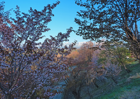 P5030138@