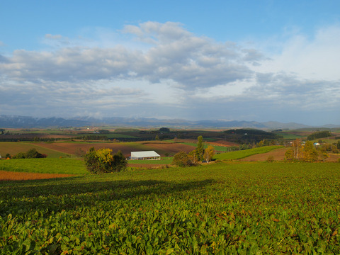 20121022_03