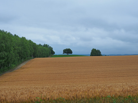 P7241052@