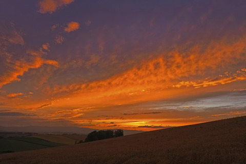 P7220237@