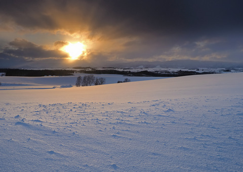 P1231929@