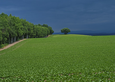 P6171860@