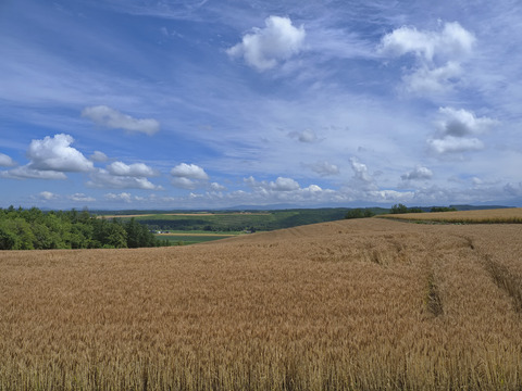 P7220039@