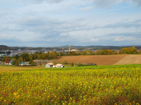 20121022_11
