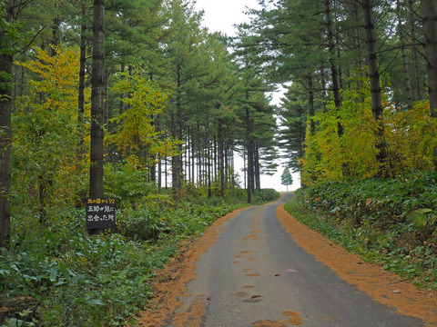 PA171368@