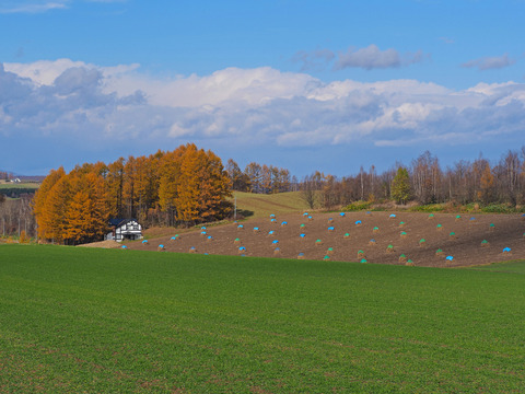 PA300084