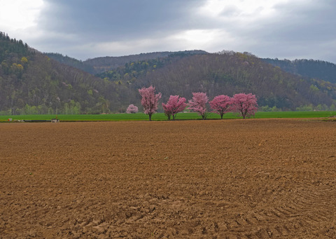 P5060608@