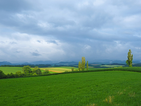 P7270819