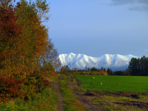 20121022_18