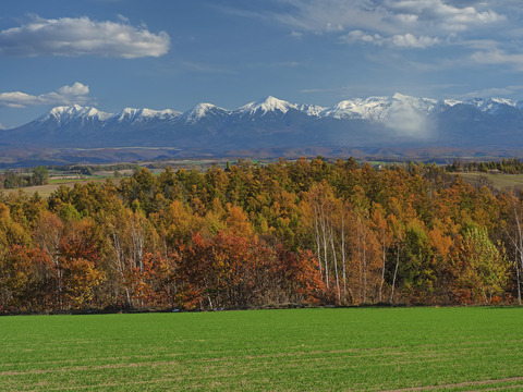 PA280728@