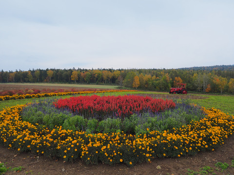PA171370@
