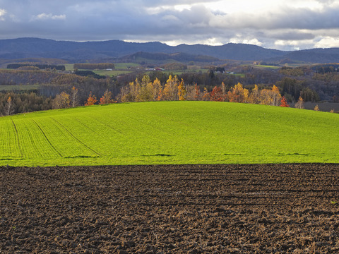 PA301069@