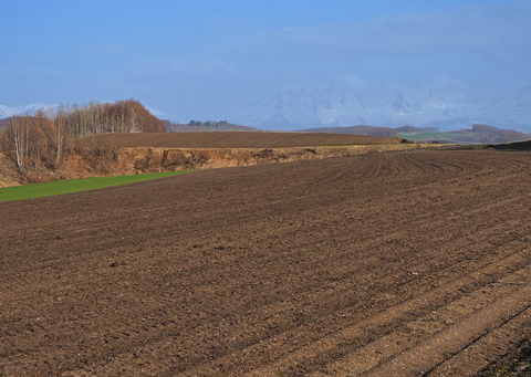 P4120571@
