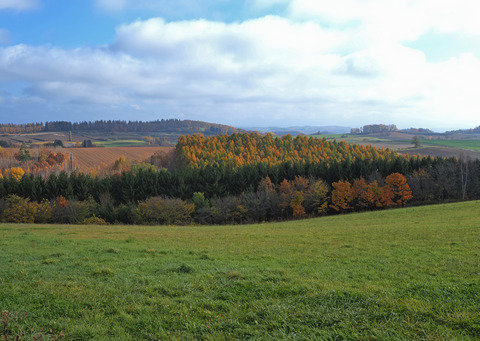 PA301868@