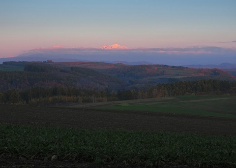 PA301987@