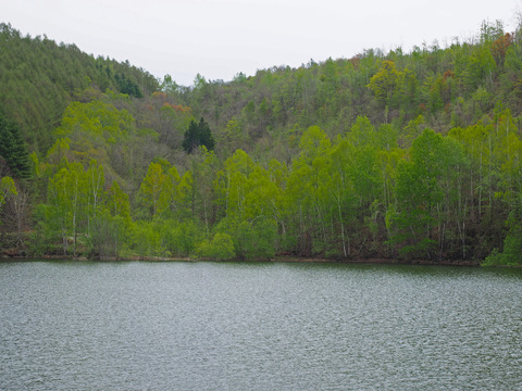P5080196
