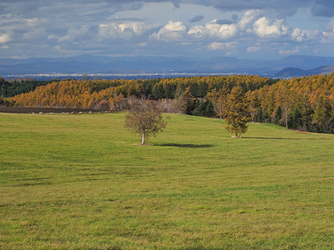 PA290949@