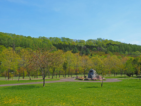 P5080246